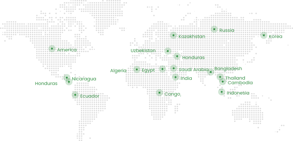 International Market