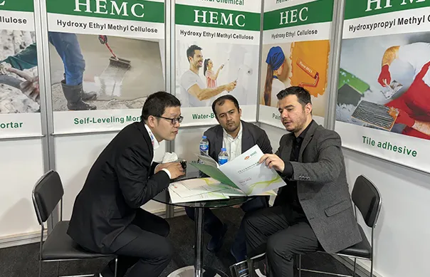 Hehui Showcases HPMC and MHEC Solutions at 2024 Istanbul Coatings Exhibition
