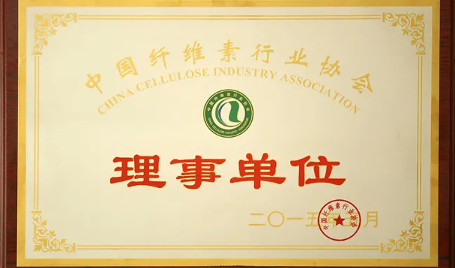 Council member of China Cellulose Industry Association