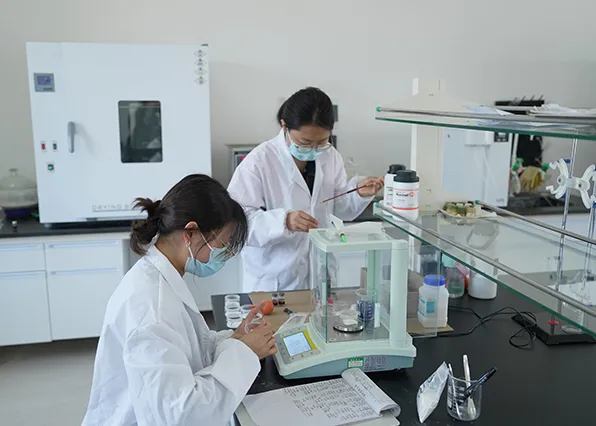 R&D Laboratory Overview